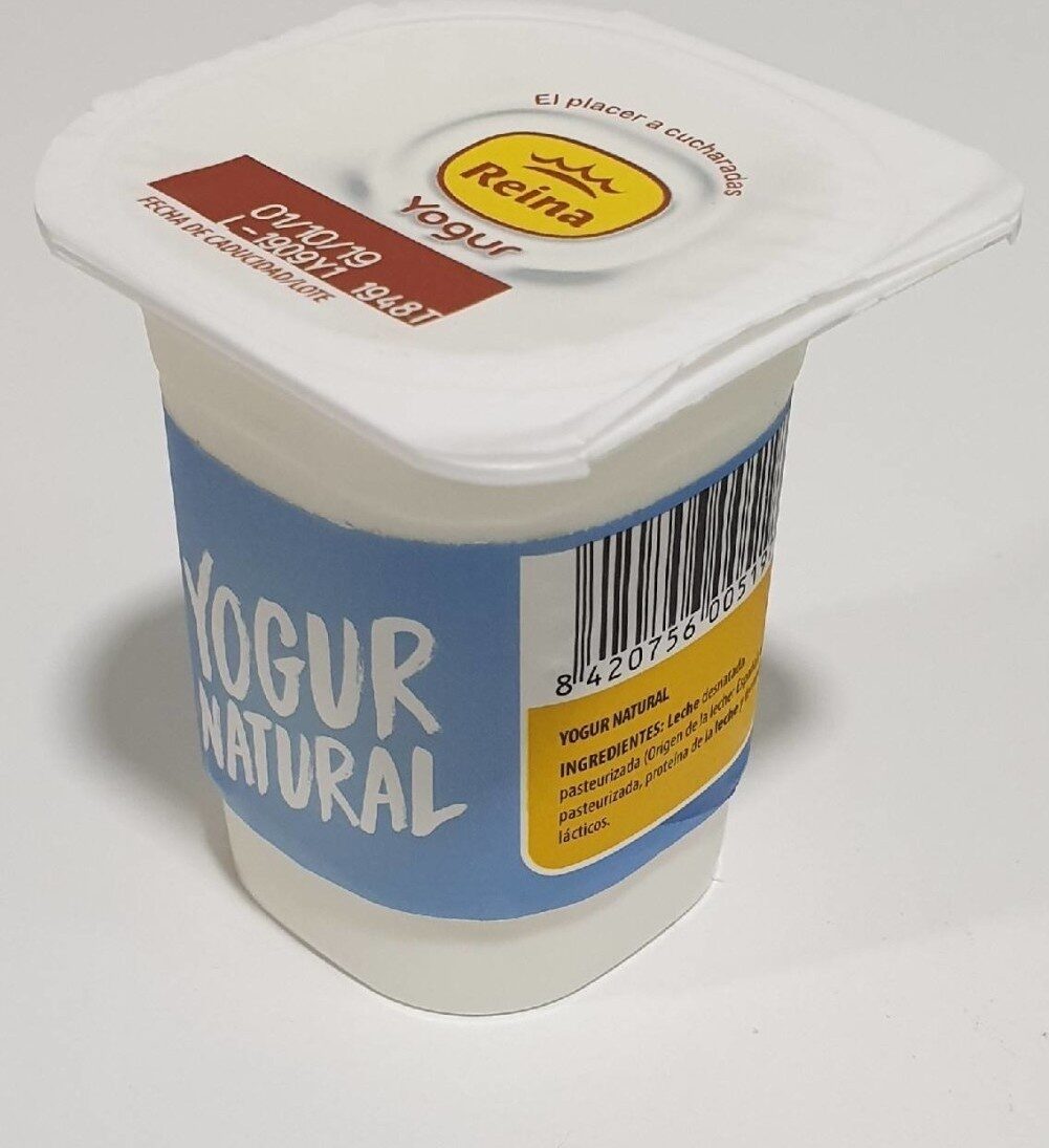 YOGUR NATURAL 00 500G