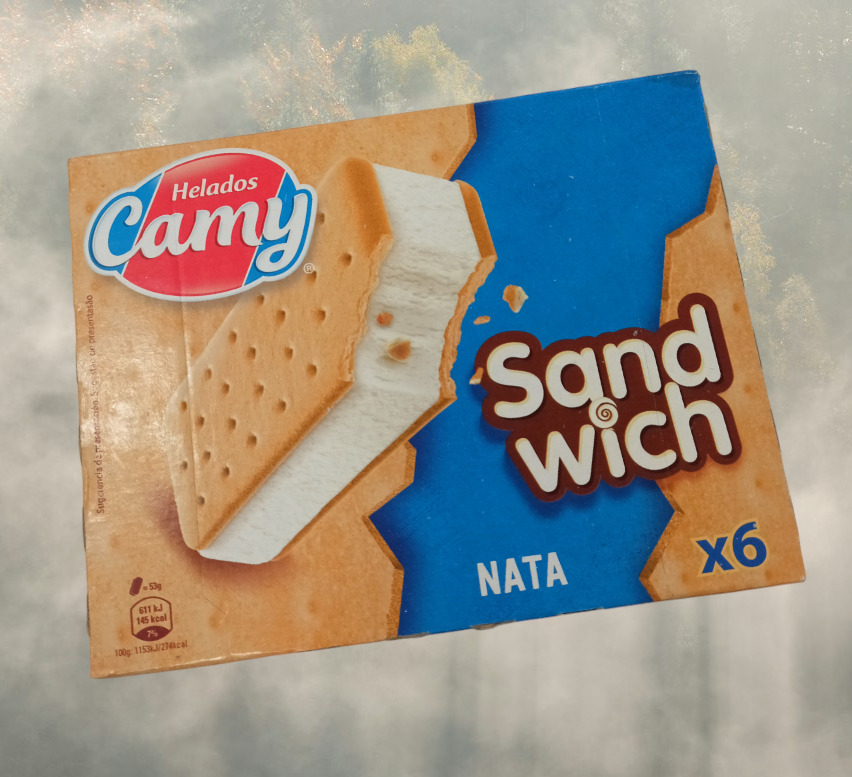 CAMY SANDWICH NATA HELADO 24U