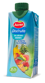 JUVER DISFRUTA 10 FRUTAS 330ML P3 6U