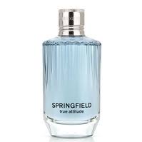 SPRINGFIELD ATTITUDE TRUE 100V PLUS AFT