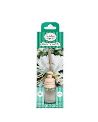 VINTAGE AMB COCHE DAMA DE NOCHE