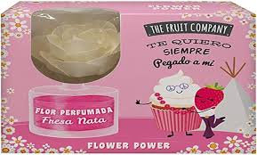 THE FRUIT COMPANY AMB FLOR DIF FRES