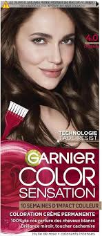 GARNIER COLOR SENSATION TINTE 4.0
